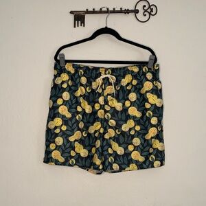 Laguna Swim lemon print men’s swim trunks size XL